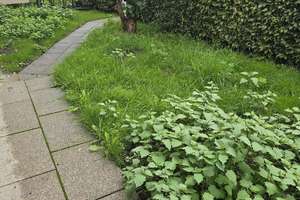 3-Zimmer-Eigentumswohnung  mit Garten
Kaufen und einziehen oder vermieten – Die vollständige Adresse der Immobilie erhältst du vom Anbieter., 88161 Lindenberg im Allgäu – Vorschaubild 4