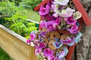 Property thumbnail 22