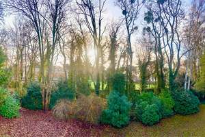 5.588,-pro QM-Geräumige Pool-Villa -340 qm Wohnfläche- 1.080 qm Sonnengrundstück-dicht Fischtal