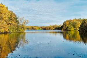 Property thumbnail 22