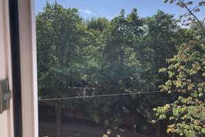 Helles Appartement in Top-Lage Nähe Glockenbachviertel von privat – 80337 Am alten südlichen Friedhof, München – Vorschaubild 11
