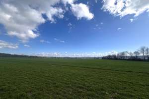 Property thumbnail 56