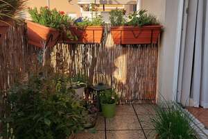 ** Sehr schöne 2-Zimmer-Wohnung am Stadtpark ** – Die vollständige Adresse der Immobilie erhältst du vom Anbieter., 90489 Wöhrd, Nürnberg – Vorschaubild 7