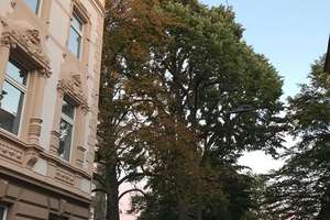 Schöne 3-Zimmer-Wohnung im Zentrum von Wuppertal zu vermieten. – Deweerthstraß 63, 42107 Elberfeld, Wuppertal – Vorschaubild 10