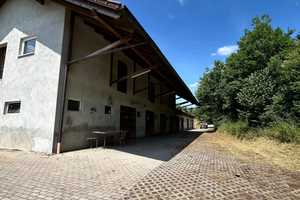 Tier- und Pferdehalter aufgepasst! Modernes Haus mit Stallgebäude (Geflügelhof) und Schlachthaus i – Haßberge (Kreis) – Vorschaubild 10