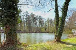 VON POLL - BAD HOMBURG: Ihr Refugium am See - großzügig, privat und einzigartig – Hochtaunuskreis – Vorschaubild 3