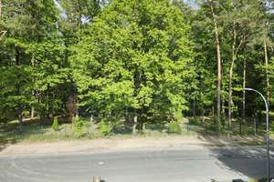 Wohnhaus mit 182 m² Wohnfläche und sonnigem Garten in Berlin-Hermsdorf (Umbau 1998) – Frohnauer Straße. 97, 13467 Hermsdorf, Berlin – Vorschaubild 5