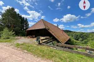 Schwarzwaldhof. Ideal als Retreat, Pferdehof, Ferienwohnungen, Seminarhaus oder Gnadenhof. – Ortenaukreis – Vorschaubild 3