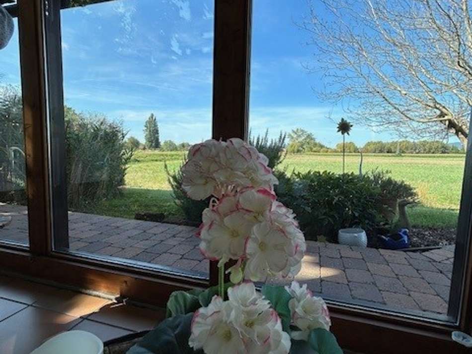 Wintergarten Blick ins Grüne