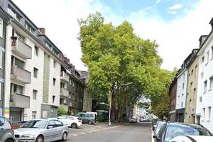 Ruhepol in der City: Top-modernisierte 3-Zimmer-Wohnung mit sonniger Terrasse - ruhig und zentral!