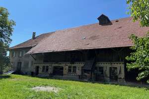 Ehemaliges landwirtschaftliches Anwesen mit Nebengebäuden zwischen Wiesen/Hopfenfeldern bei Bodnegg! – Die vollständige Adresse der Immobilie erhältst du vom Anbieter., 88285 Bodnegg – Vorschaubild 6