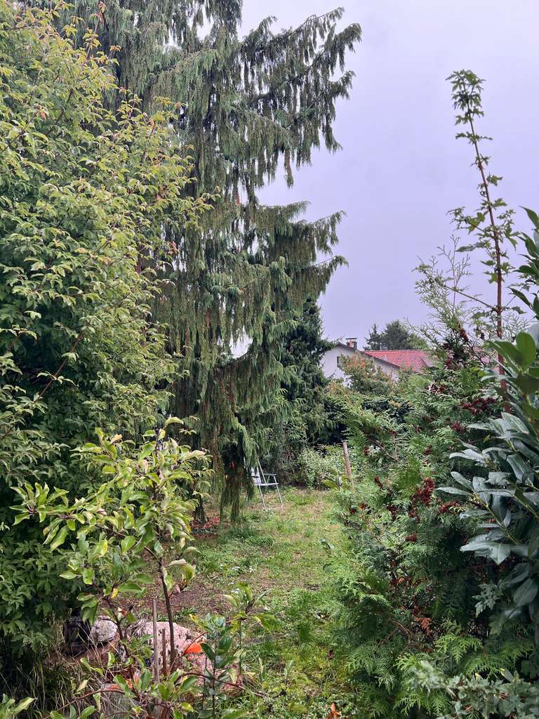 Immobilie in Mühlheim am Main - Modernes kl. EFH + DHH (renovierungsbedürftig) in Toplage*Mainnähe*mit vielen Optionen* - Bild 4