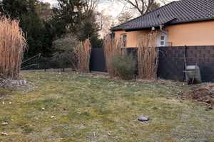 Sofort bezugsfertiges 3-Zimmer-Einfamilienhaus in ruhiger Gegend (Tegel - Reinickendorf) – Berlin – Vorschaubild 15