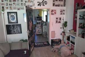 Gepflegte 2-Zimmer-Wohnung im Erdgeschoss in Salzgitter – Haßjägerweg 26, 38229 Gebhardshagen, Salzgitter – Vorschaubild 13