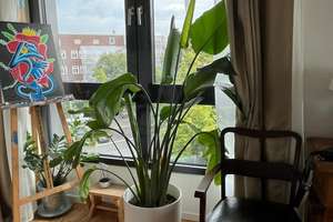 Property thumbnail 5