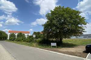 Ihr moderner 1,5-Geschosser in Lucka – mit ScanHaus – Altenburger Land (Kreis) – Vorschaubild 4