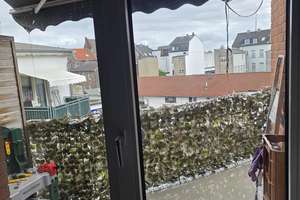 Geräumige Etagen-Wohnung in citynaher Lage von KR-Cracau zu vermieten – Hardenbergstraße 51, 47799 Cracau, Krefeld – Vorschaubild 8
