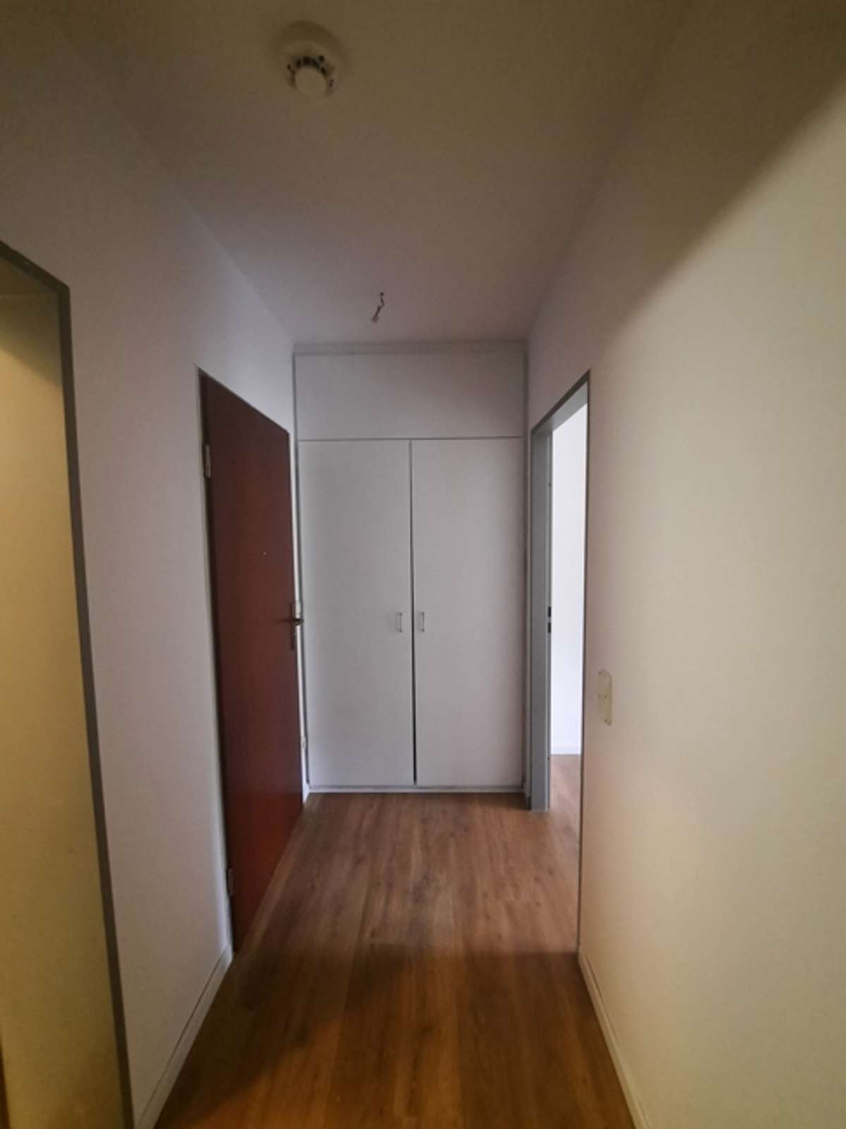 Sanierte 1-Zimmer-Wohnung mit gemütlicher Terrasse (Grünblick) in Bovenden