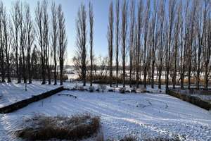 Property thumbnail 17