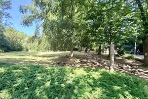 Wohnen, wo andere spazieren gehen! Frisch renoviertes Raumwunder mit Stadtwald-Blick & Gartenmitnutz – Dahlener Straße 613, 41239 Hockstein, Mönchengladbach – Vorschaubild 13