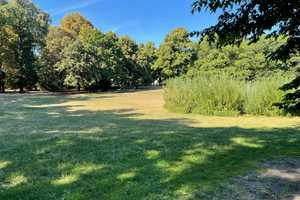 +++bezugsfreie 2-Zimmer-Altbauwohnung mit Dielenboden am Volkspark+++ – Bruchsaler Straße 13, 10715 Berlin – Vorschaubild 18
