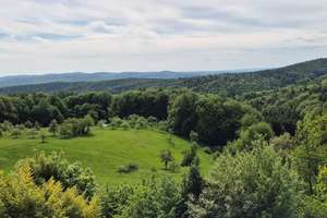 2,5-Zi.-Whg in ruhiger, naturnaher Lage in Johannesberg-Breunsberg