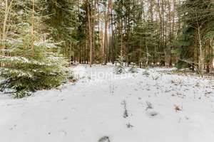 Rückzugsort mitten im Grünen – charmantes Ferienhaus auf traumhaftem Waldgrundstück in Stüde – Die vollständige Adresse der Immobilie erhältst du vom Anbieter., 38524 Sassenburg – Vorschaubild 17