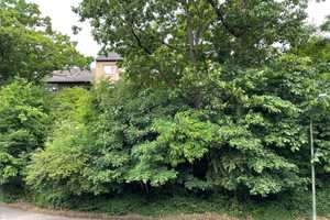 Property thumbnail 35