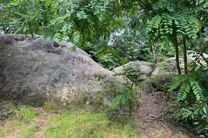 Stadthaus am Park-DHH am Hohenstein, grüne Oase in parkähnlichen Umfeld mitten in Wolfsburg! – Die vollständige Adresse der Immobilie erhältst du vom Anbieter., 38440 Hohenstein, Wolfsburg – Vorschaubild 2