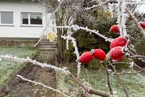 Freistehendes Einfamilienhaus mit Garten in idyllischer Lage von Marburg-Moischt – Marburg-Biedenkopf (Kreis) – Vorschaubild 15