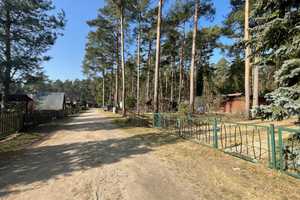Sommerhaus am See - 60 Minuten von Berlin – Teltow-Fläming (Kreis) – Vorschaubild 38