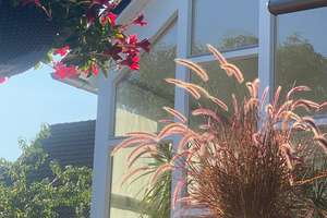 PRIVATVERKAUF!!! – Lessingstraße 23, 12623 Mahlsdorf, Berlin – Vorschaubild 44