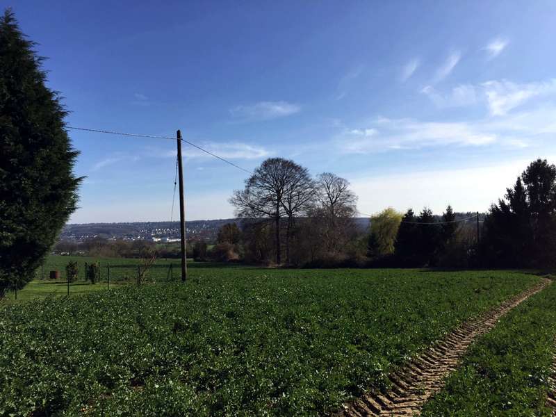Neubauprojekt in exponierter Lage mit Südgarten und Blick ins Grüne
