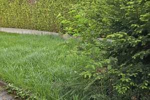 Zweifamilienhaus mit wunderschönem Garten, Doppelgarage und großem bebaubarem Grundstück – Die vollständige Adresse der Immobilie erhältst du vom Anbieter., 65817 Eppstein – Vorschaubild 2
