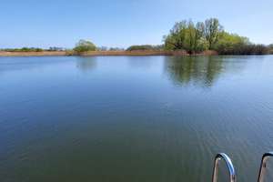 Wohnbungalow auf Eigentumsland mit Bootssteg/Bootshausnutzung direkt am Hohen Sprenzer See zu verk. – Zum Papensee 45, 18299 Hohen Sprenz – Vorschaubild 15