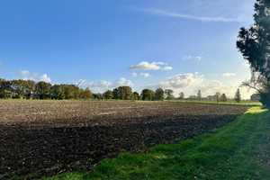 Außenbereich mit über 18.400 m² Grundstück – Borken (Kreis) – Vorschaubild 17