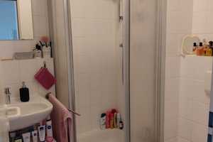 Möblierte 1-Zimmer-Wohnung mit Pentryküche in Braunschweig – Neustadtring 30a, 38114 Braunschweig – Vorschaubild 9