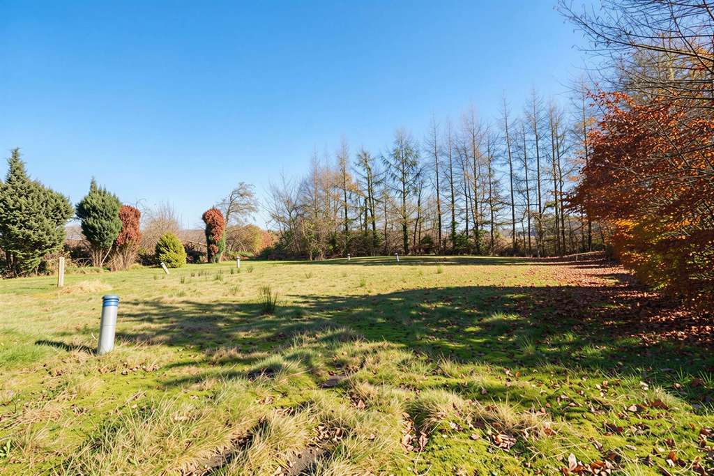 Immobilie in Halbemond - Charmantes Einfamilienhaus auf großem Grundstück – viel Potenzial in Halbemond - Bild 4