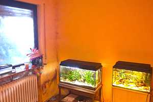 Erwecken Sie dieses Schmuckstück zu neuem Leben: Großzügiges Haus mit gemütlichen Garten – Rheingau-Taunus-Kreis – Vorschaubild 27