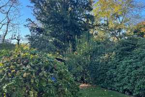 Alsterdorfer Gartenstadt charmantes Schmuckstück in bester Lage zu verkaufen – Frühlingsgarten 45, 22297 Hamburg – Vorschaubild 6