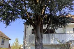 Großzügige DHH mit  Anbau, Südgarten und viel Platz für Kreative – Die vollständige Adresse der Immobilie erhältst du vom Anbieter., 80689 Blumenau, München – Vorschaubild 3