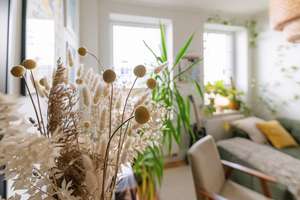 Property thumbnail 37