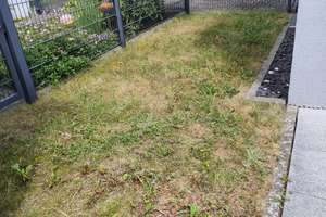 Wohnen mit Charakter: Ein-Zimmer-Wohnung in Altdorf – Heumannstraße 24, 90518 Altdorf bei Nürnberg – Vorschaubild 12