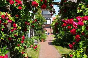 IM ZENTRUM - HAUS, GARTEN, SCHEUNE, EINLIEGER-WE, KAMIN+WEIT. HIGHLIGHTs - SIEHE a. SONSTIGES...!! – Die vollständige Adresse der Immobilie erhältst du vom Anbieter., 17255 Wesenberg – Vorschaubild 2