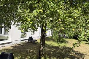 **Helles möbliertes Studentenapartment im Herzen der Stadt – verfügbar ab 1. August 2026**  – Gerbergasse 3, 85049 Mitte, Ingolstadt – Vorschaubild 17
