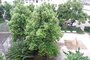 🏡Berlin | Exklusive 2-Zimmer-Wohnung – Möbliert, Bezugsfrei & ohne bestehendes Mietverhältnis – 13597 Spandau (Ortsteil), Berlin – Vorschaubild 11