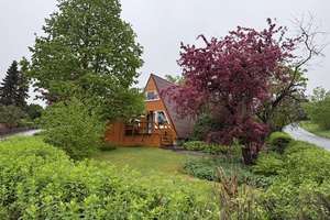 Tiny Ferienhaus im grünen Harz – Die vollständige Adresse der Immobilie erhältst du vom Anbieter., 38685 Langelsheim – Vorschaubild 1