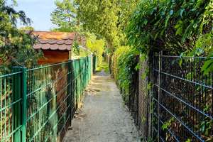 FAMILIENFREUNDLICHES SANIERUNGSOBJEKT MIT SUBSTANZ IN AUßERGEWÖHNLICHER WALDSIEDLUNG – 10318 Karlshorst, Berlin – Vorschaubild 43