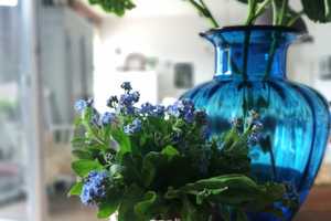 Property thumbnail 21