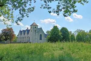 Charmantes Haus mit drei Einheiten und viel Entwicklungspotenzial – Die vollständige Adresse der Immobilie erhältst du vom Anbieter., 51069 Dünnwald, Köln – Vorschaubild 14